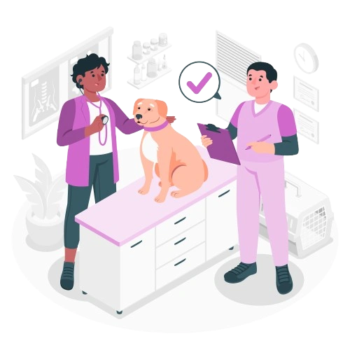 Consultation Service