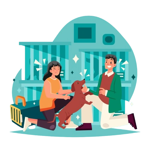 Pet Boarding and Lodging